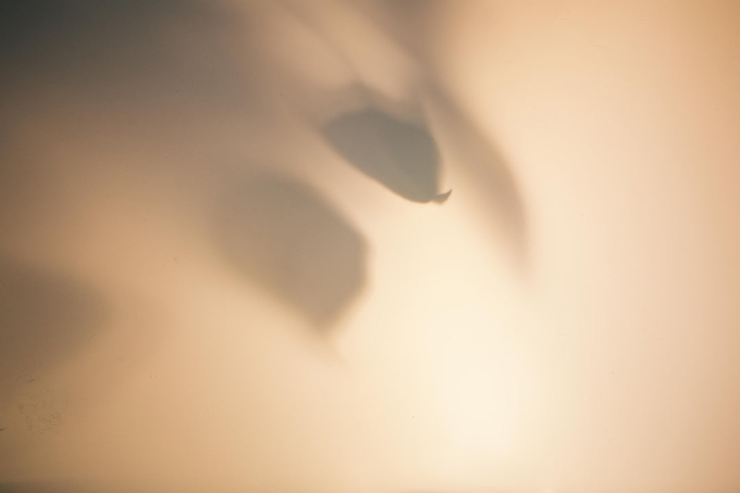 Peau grasse à imperfections