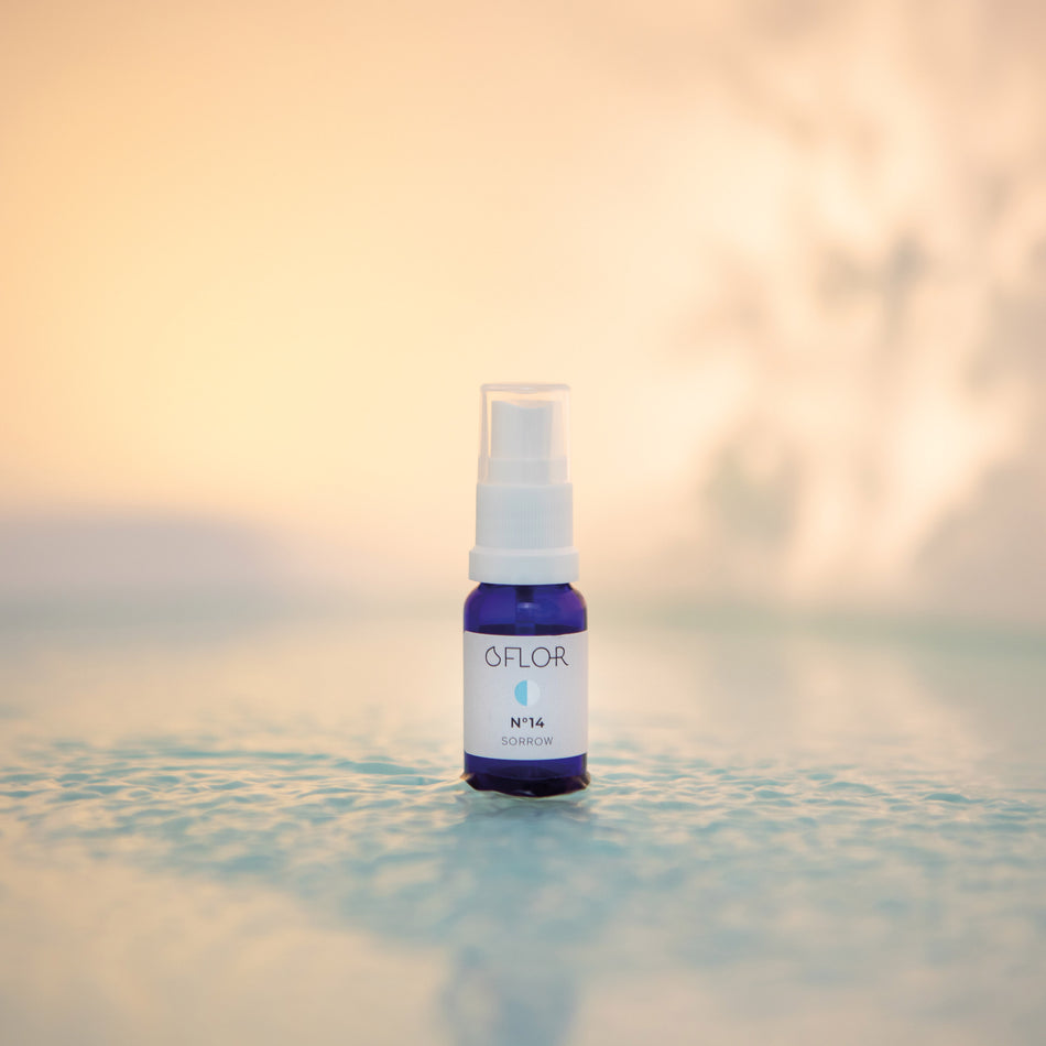 O'Flor No. 14 Sorrow