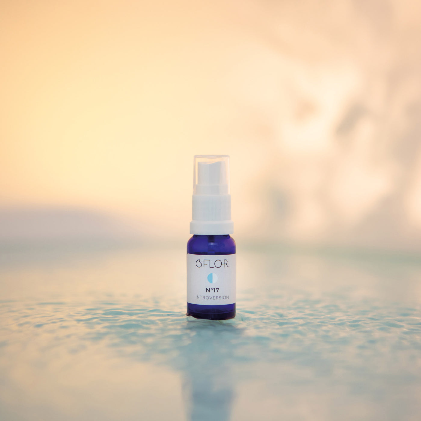 O'Flor No. 17 Introversion