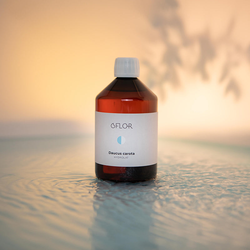 Wild Carrot Hydrosol