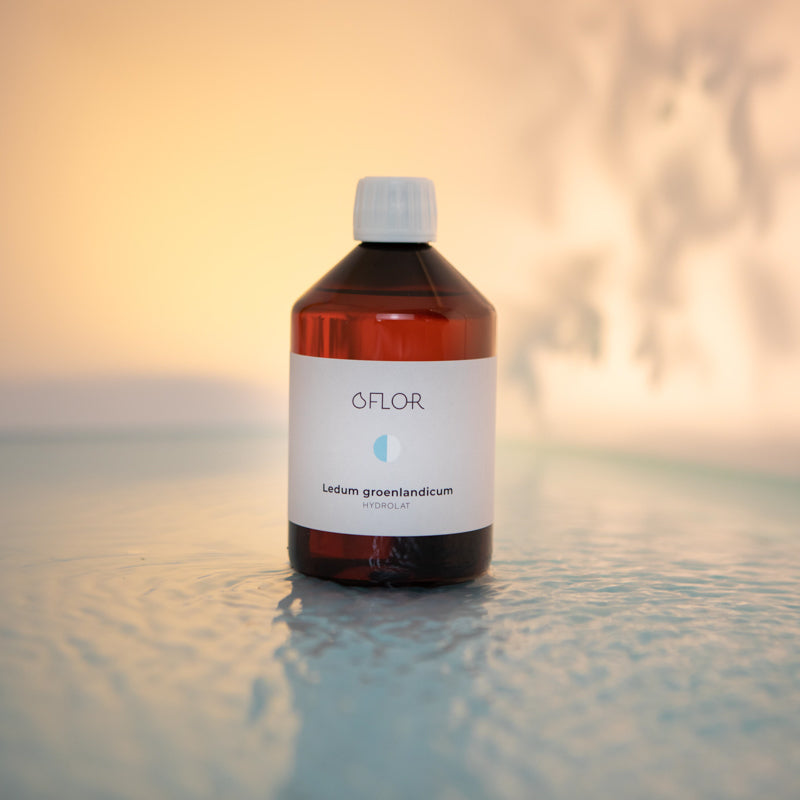 Ledon hydrosol from Greenland