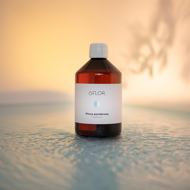 Hydrosol af kraftig fyrretræ