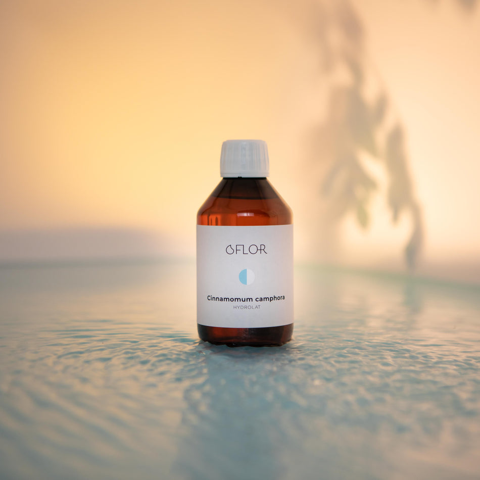 Hydrolat de Ravintsara